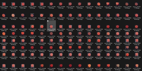 Dataset creation and structuring