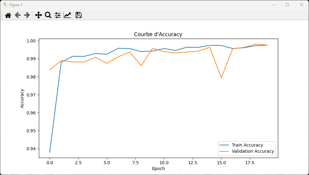 Training curves and results